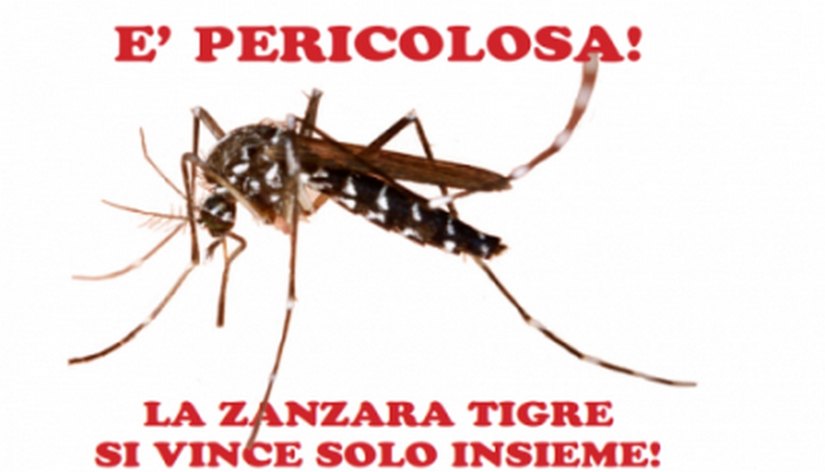 Immagine che raffigura Contrasto alla zanzara Tigre