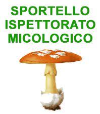Immagine che raffigura Ispettorato micologico – Servizio di certificazione gratuita per la commestibilità dei funghi epigei raccolti dai cittadini. Anno 2021