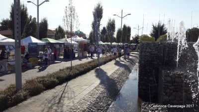 485-WhatsApp Image 2017-09-03 at 16.48.02