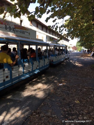 488-WhatsApp Image 2017-09-03 at 17.13.19