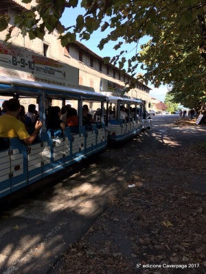 489-WhatsApp Image 2017-09-03 at 17.13.27