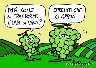 498-premio speciale - Giannotti