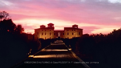 02-doc07273620171109203033_001