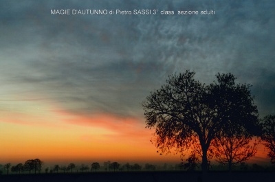 04-doc07273820171109203118_001