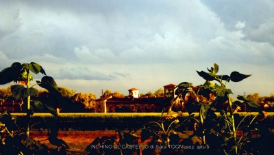 11-doc07275120171109203456_001