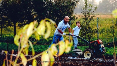 12-doc07275220171109203511_001