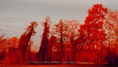 14-doc07275420171109203544_001