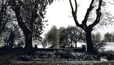 16-doc07275620171109203610_001