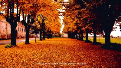 17-doc07275720171109203623_001