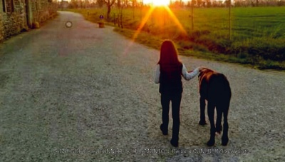 21-doc07274520171109203330_001